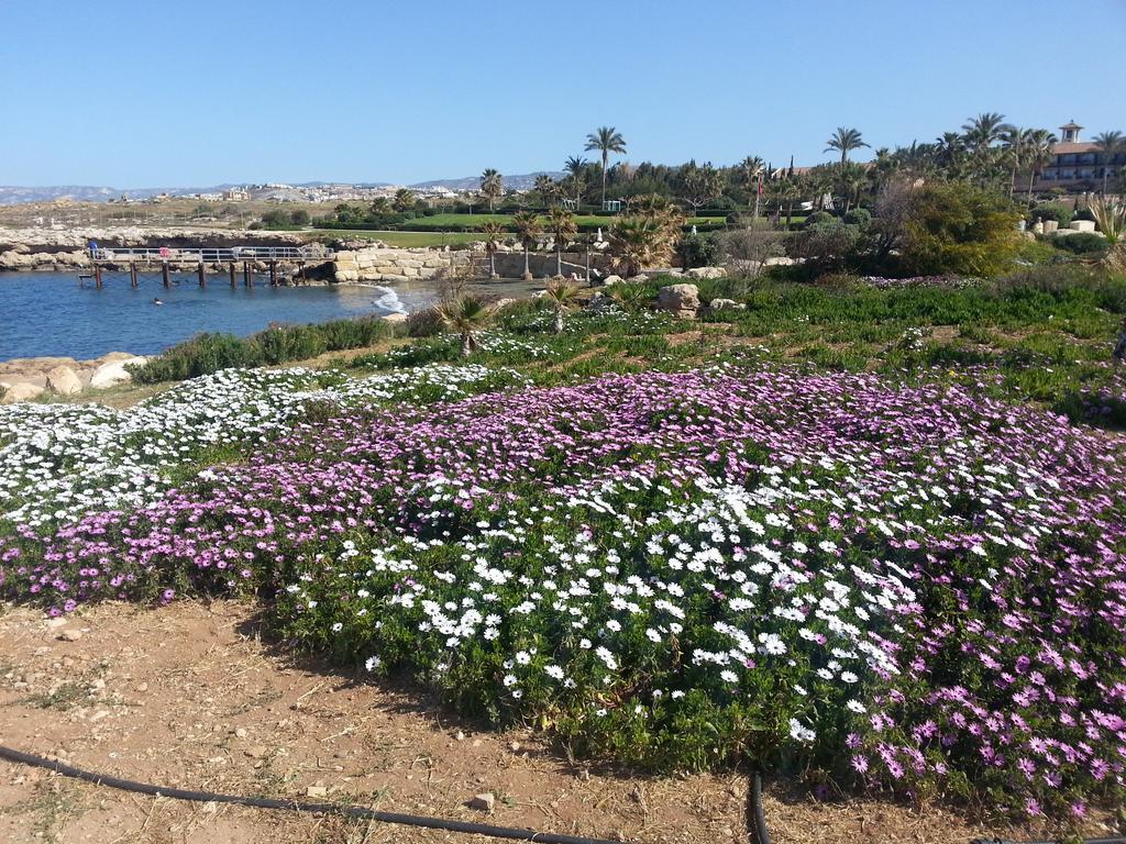 Faros Beach Paphos Exterior foto